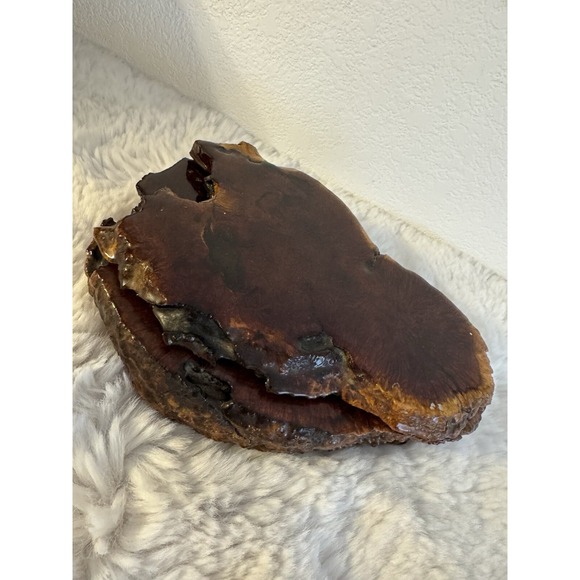 Burl Wood Jewelry Or Trinket Box With Lid Live Edge Deep Color‎ Vintage